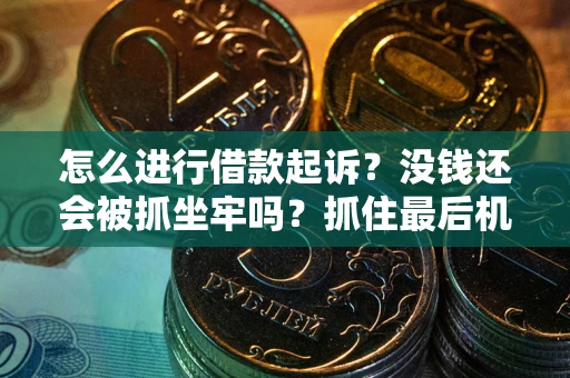 济南怎么进行借款起诉？没钱还会被抓坐牢吗？抓住最后机会！