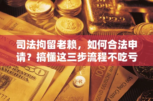 济南司法拘留老赖，如何合法申请？搞懂这三步流程不吃亏！