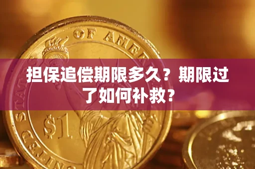 济南担保追偿期限多久？期限过了如何补救？