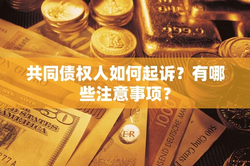 济南共同债权人如何起诉？有哪些注意事项？